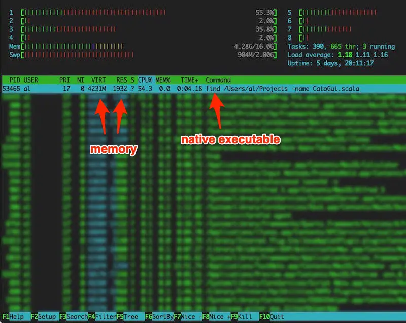 htop showing memory use for the GraalVM test